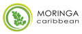 moringacaribbean.sk