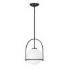 Závesné svietidlo Somerset, 1-plameňové, čierna