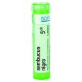 SAMBUCUS NIGRA CH5 granule 4 g