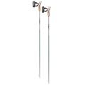 Leki Passion 2023 100 cm
