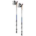 Leki Traveller Carbon 2023