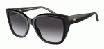 EMPORIO ARMANI EA4198 50178G - M (55-17-140)