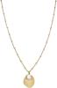 Rosefield Pozlátený oceľový náhrdelník s mušľou Amber JSPNG-J159
