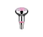 Paulmann LED Žiarovka na rast rastlín GROW ZELENÁ R50 E14/4W/230V - Paulmann 28734