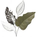 Nástenná dekorácia Falc 19SMA9540, 50x50 cm