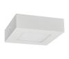 Greenlux LED Stropné svietidlo FENIX LED/6W/230V 3800K 12 cm