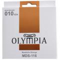 Martin Guitars Olympia MDS-116 mandolin strings 10-34