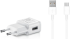Samsung EP-TA200EWE + EP-DR140AWE 15W biela (Bulk)