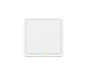 TESLA Smart Switch ZigBee TSL-SWI-ZIGBEE1
