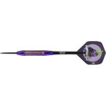 Bull`s Aubergenius SC Dirk Van Duijvenbode Steel 21 g