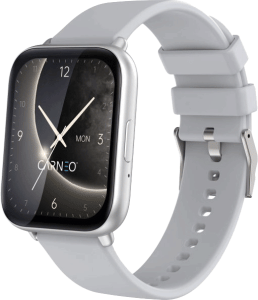 CARNEO Artemis HR+ silver