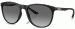 EMPORIO ARMANI EA4210 500111 - M (56-18-145)