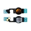 iPhone 5 - Home button flex