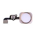 iPhone 6S/6S Plus - Home button + home button flex - Gold