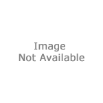 iPhone 13 Pro - GPS antena flex