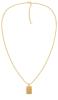Tommy Hilfiger Fashion pozlátený náhrdelník z ocele 2780822