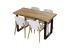 Expedo Jedálenský stôl VANE, 100x60x75, dub craft zlatý