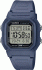 CASIO W-800H-2AVES