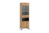 Expedo Vitrína OTYL, 60x202x40, dub artisan/čierna