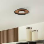 Stropné svietidlo Lucande Merilla, dyha