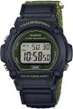 CASIO W-219HB-3AVEF