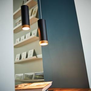 Závesné svietidlo LED PHEB, čierna/dub