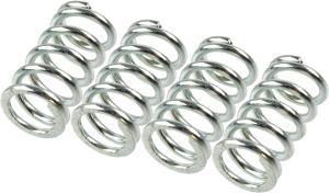 TRW Sadas spojkových pružín MEF1044