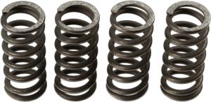 TRW Sadas spojkových pružín MEF1354