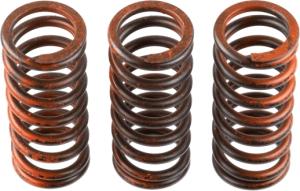 TRW Sadas spojkových pružín MEF324-3