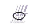 FAST Tesniaci krúžok, hadica chladiva FT49919