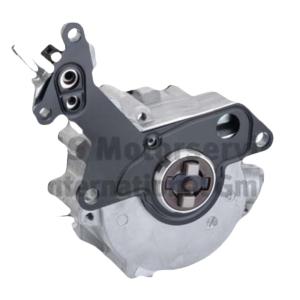 PIERBURG Palivové čerpadlo 7.02551.20.0