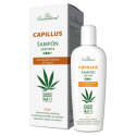 CANNADERM Capillus šampón seborea CBD+ 150 ml