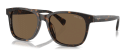 RALPH BY RALPH LAUREN RA5313U 500373 - M (56-17-145)