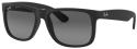 Ray-Ban RB4165 622/T3 - M (54-16-145)