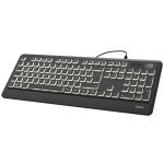 Hama Podsvietená klávesnica KC-550