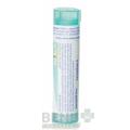 RHUS TOXICODENDRON gra 1x4 g (200CH)