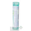 RHUS TOXICODENDRON gra 1x4 g (200CH)