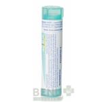RHUS TOXICODENDRON gra 1x4 g (200CH)