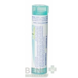 RHUS TOXICODENDRON gra 1x4 g (200CH)