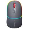 Canyon MW-22 2v1 bezdrôtová optická myš GRAY