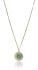 Emily Westwood Jedinečný pozlátený náhrdelník s tyrkysom EWN23052G