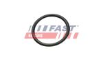 FAST Tesnenie trubiek chladenia FT49927