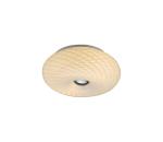 Searchlight Searchlight 59113-3 - Stropné svietidlo 2xE27/60W/230V pr. 28 cm