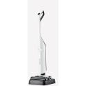 Roborock Flexi Pro
