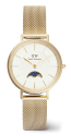 DANIEL WELLINGTON DW00100771
