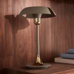 Stolná lampa AYTM Cycnus, sivá, železo, výška 48 cm, E27