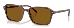 Ray-Ban RB2231 141833 -  (56-18-145)