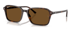 Ray-Ban RB2231 902/57 -  (56-18-145)