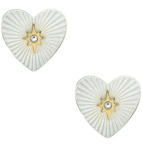 FOSSIL JF04732710