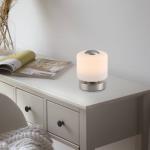 Paul Neuhaus LED stolová lampa Bota, oceľová farba, sklo, stmievateľná